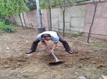 plant 4