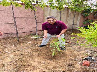 plant 2